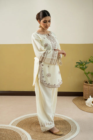Elegant Ivory Embroidered 2-Piece Suit | Premium Collection